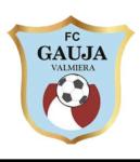 FK GAUJA