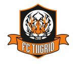 FC Tiigrid Fänniklubi