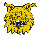 Ilves FC (FI)
